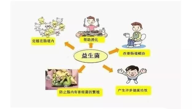 圖片20.png