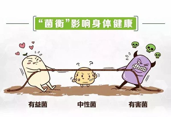 02腸道菌群.jpg