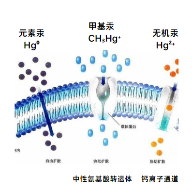 圖片1.png