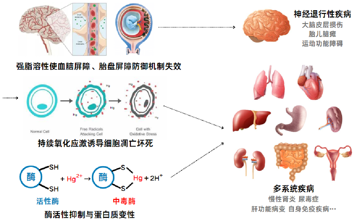圖片2.png